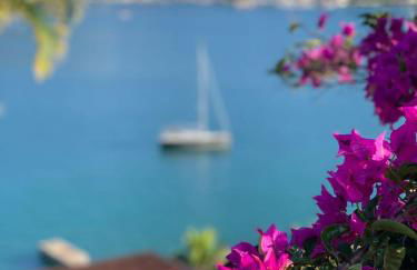 Casinha verde - Foto 14