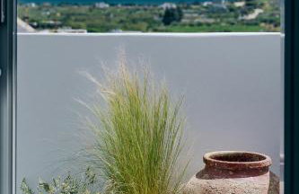 patrico πατρικό - Photo 6