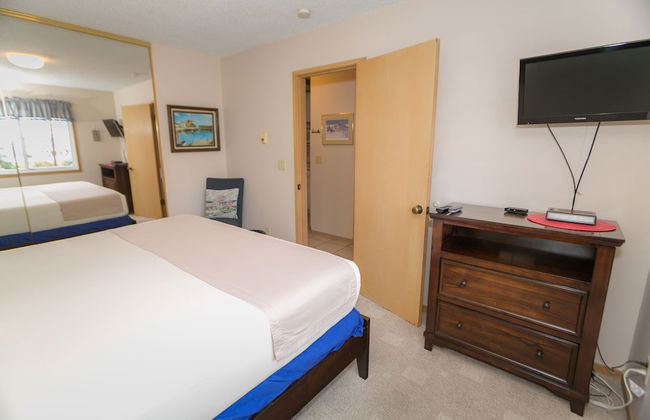 The Grey Gull - Foto 61