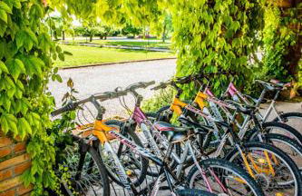 Agriturismo Tenuta Regina - Glamping luxury lodges and apartments - Photo 44