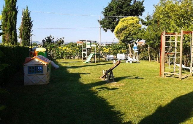 Fattoria Belvedere - Photo 18