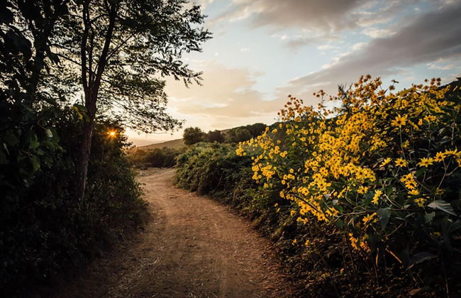 La Cerreta - Terme di Sassetta - Foto 38