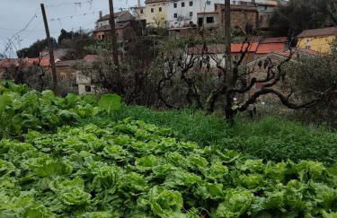 Casa Iris Cunqueiros - Foto 78
