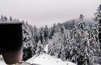 La Cabane de Marie - Foto 27