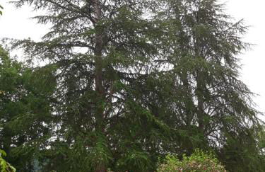 Propriété avec piscine de 2 à 9 personnes, Gîte De Saint Donat, - Foto 60