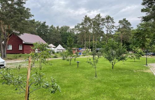 Ferienhaus Eichhörnchen - Photo 36