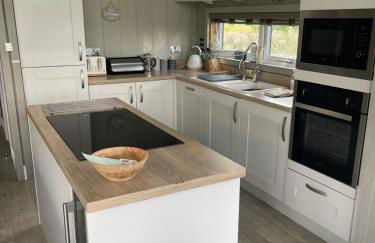 Glasshouse hot tub lodge - Foto 25