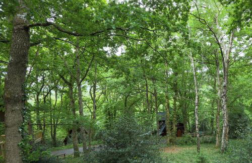 Lodge Nine for 6 with Hot Tub - Spa Resort in Devon - Foto 41