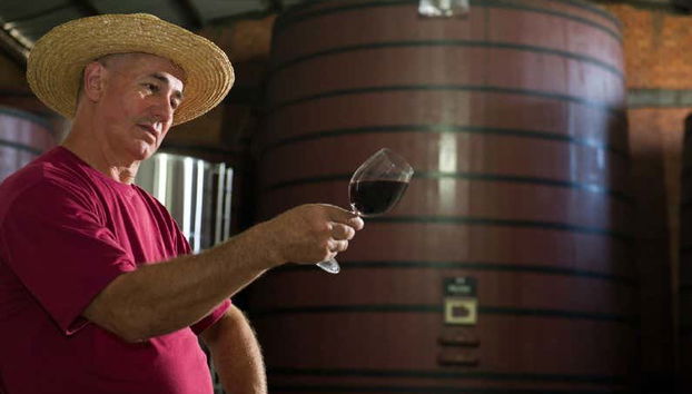 Visite à la découverte des vins de la Vale dos Vinhedos - Photo 4