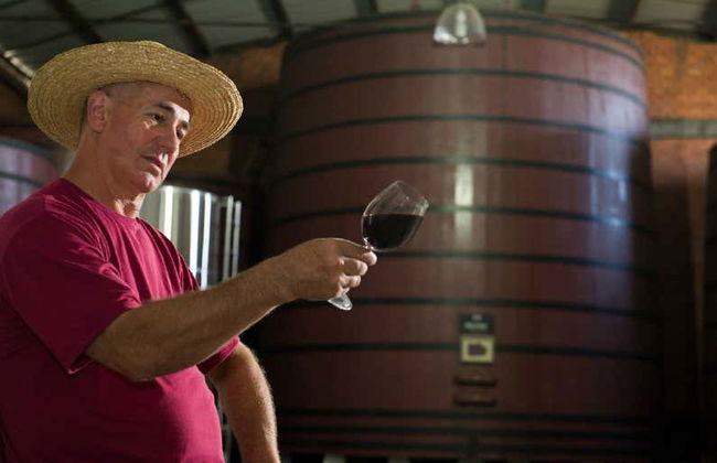 Tour del vino por el Vale dos Vinhedos - Foto 4