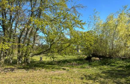 Siedlisko Komory - Foto 56