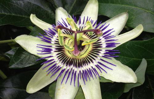 Apartamentos Anateresa - Foto 18