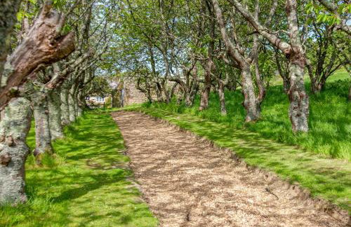 Bracken Yurt - Ukc6941 - Foto 17