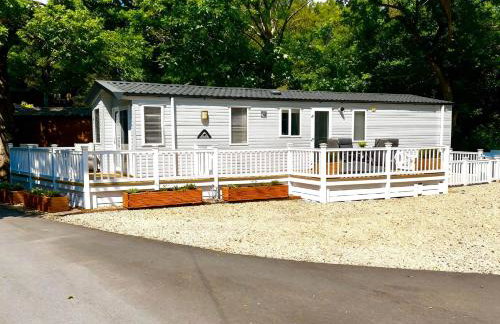 Aberdunant Hall Holiday Park - 21962 - Foto 1