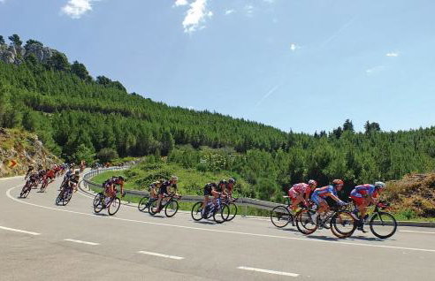 Villa Erceg - Foto 36