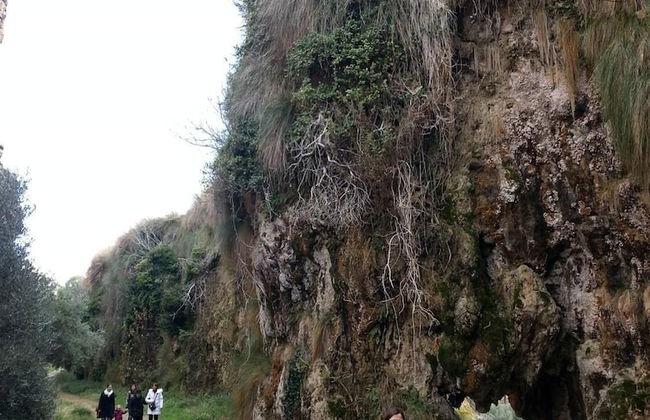 Cuevas Almagruz - Foto 28