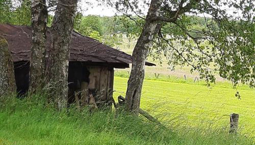 Alte Schule Steinen - Foto 5