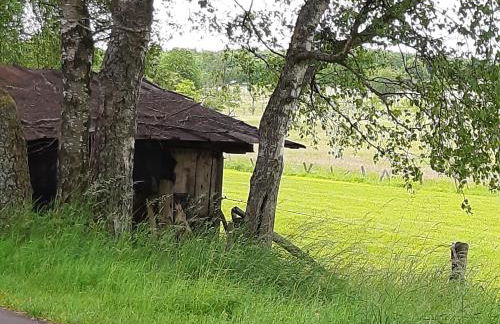Alte Schule Steinen - Foto 5