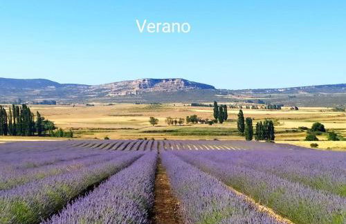 Casas de Aledo Precioso apartamento con hermosas vistas y jardin - Foto 30