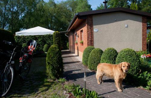 Spreewaldhäuser am See - Foto 1