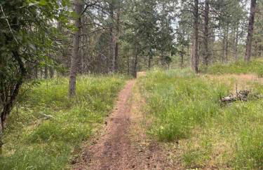 Little Cabin in the Woods. - Foto 44