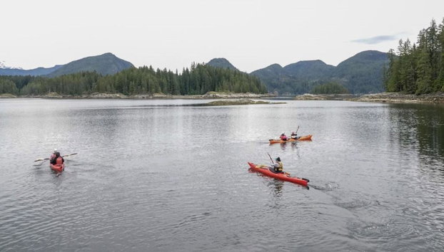 Full Day Kayaking with Whales Tour - Foto 5