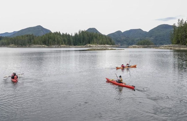 Full Day Kayaking with Whales Tour - Foto 5