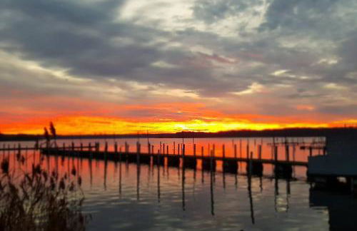 Ferienwohnung Zur Rose - Foto 11