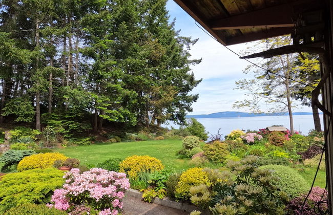 Sea La Vie Rare Peaceful Hidden Gem - Photo 31