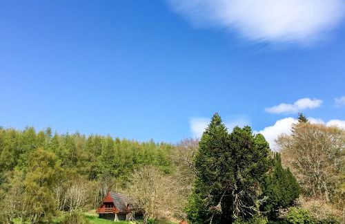 Pine Lodge - Uk7049 - Foto 1