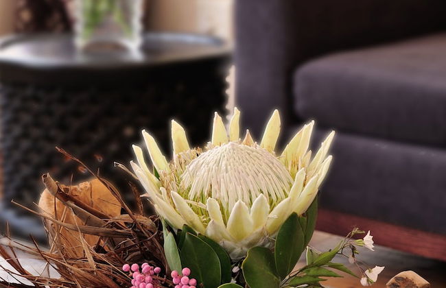 Barry Hall Apartments - Foto 4