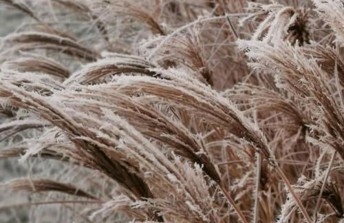 Deisterquartier, Ferienwohnung am Naherholungsgebiet - Foto 17