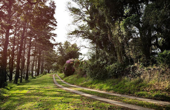 Sea Studio - Sea-facing - Foto 44