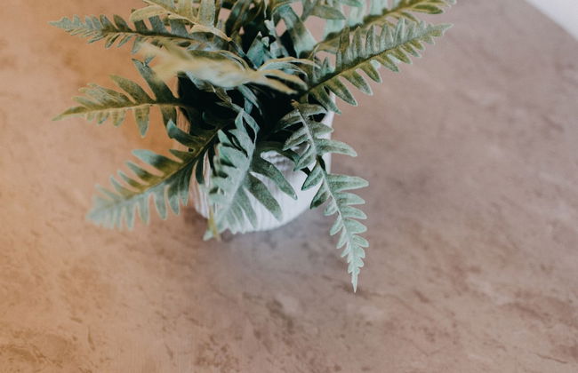 Best House Central Luxury Apartment - Foto 23