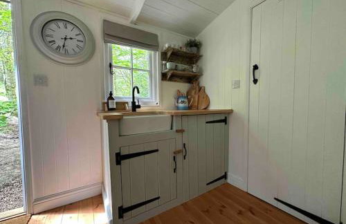 Cornwall Woodland Shepherd's Hut with Hot Tub - Deirdres Hut - Foto 51