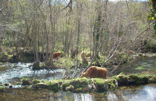Casa da Labaceira - Foto 40