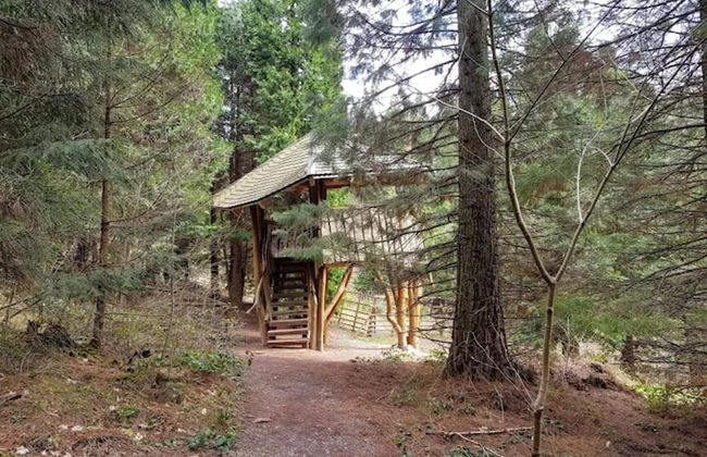 Charming Holiday Residence in the Harz With Wonderful Excursion Opportunities - Foto 68