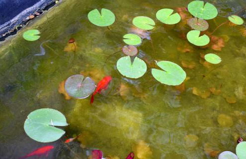 Violet Bedroom and Apartment - Photo 46
