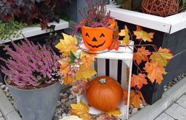 Całoroczny Ośrodek Wypoczynkowy COMFORT HOUSE - Foto 61