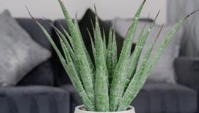 Harburn House - Foto 4