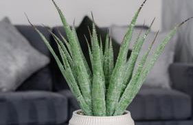 Harburn House - Foto 4