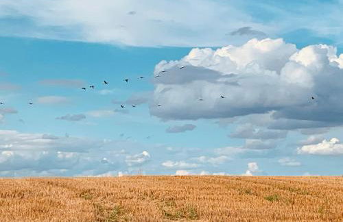 Große Loft im Naturschutzgebiet mit eigenem Garten - Photo 54