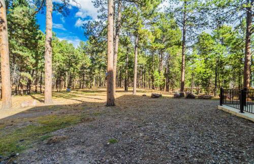 Luxury Retreat with Hot Tub Fire Pit & Forest Views - Foto 58