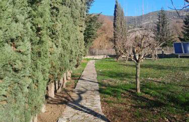 Chalet Stiga Kalavrita - Maisonettes - Foto 54