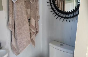 Sunrise Shepherd's Hut - Photo 11