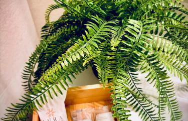 Talenti Suites Rome Casa Vacanze - Foto 33