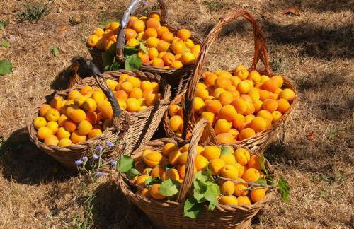 Agriturismo La Roverella - Foto 29