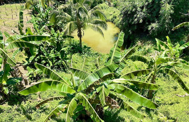 Felcordz Nature Farm and Resort - Foto 12