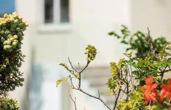 Panorama Plus - Photo 70