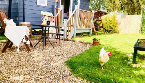 Whiskers and Woods Shepherd Hut - Foto 5